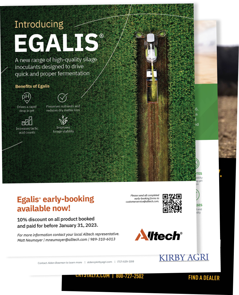 Alltech Flyers Stacked